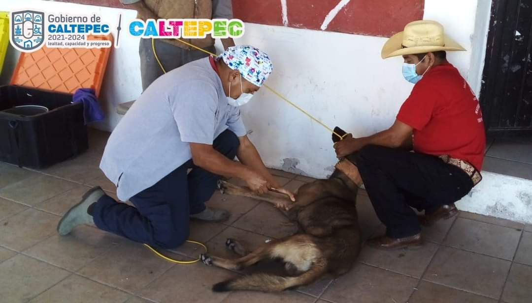 Jornada de Esterilización en la Inspectoría
